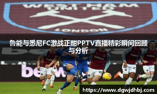 威廉希尔williamhill